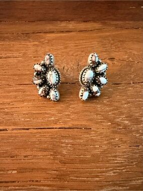 Wild Horse Half Cluster 925 Sterling Silver Earrings - Women Jewelry